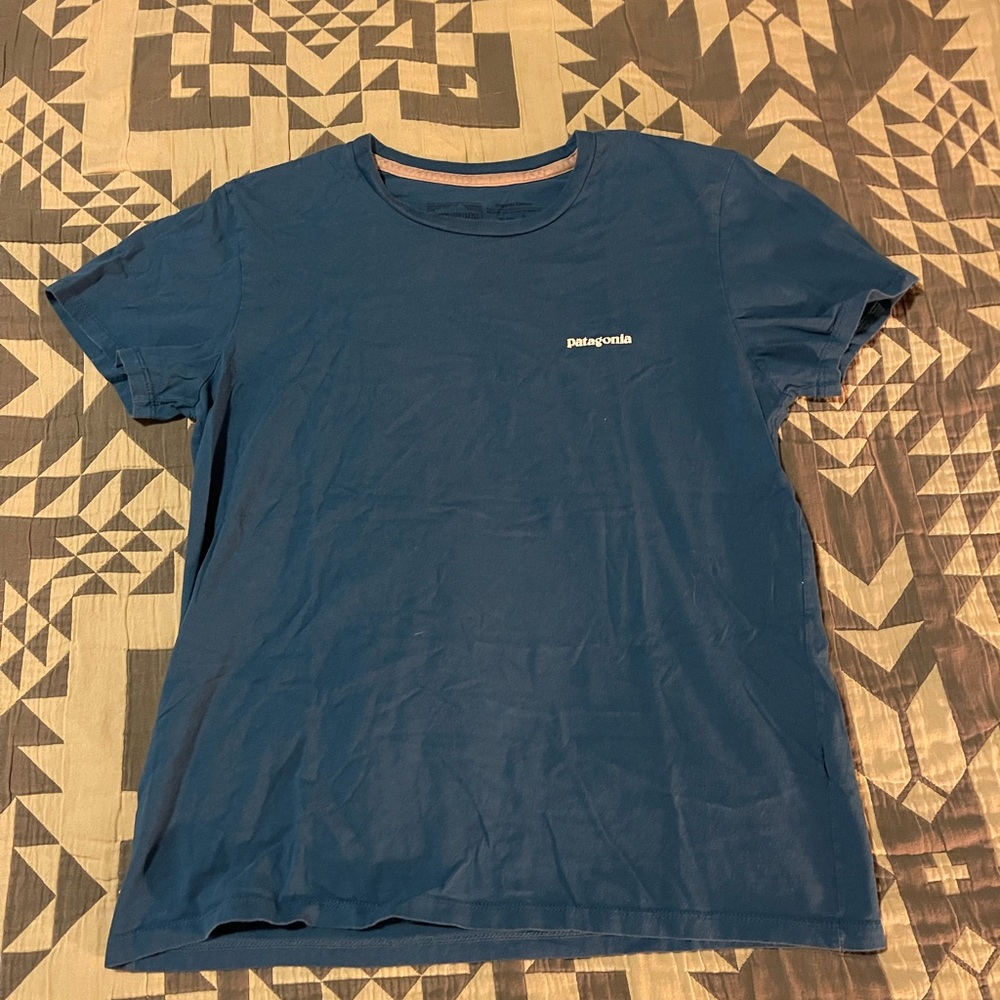 Men's Blue Patagonia T-Shirt